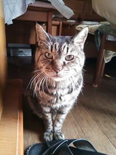 20130819_170446.jpg