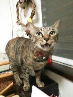 20130819_170425.jpg