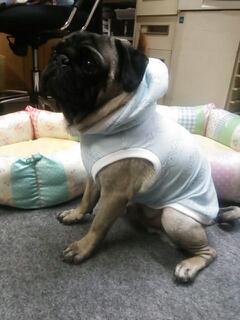 20131007_115009.jpg