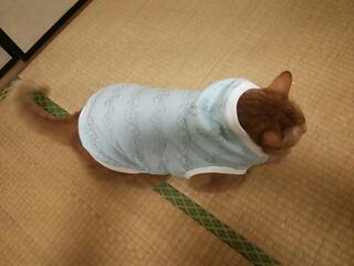 20131006_084722.jpg