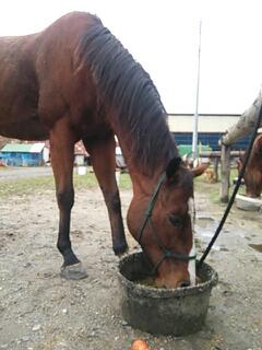 20131028_182425.jpg