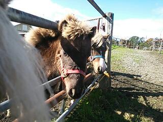 20131028_182820.jpg