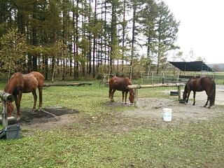 20131028_182350.jpg