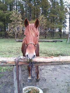 20131028_182432.jpg
