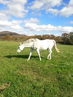 20131028_182759.jpg