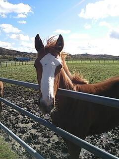 20131028_182749.jpg
