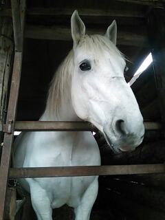 20131028_182624.jpg