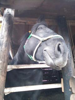 20131028_182640.jpg