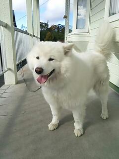 20131028_182900.jpg