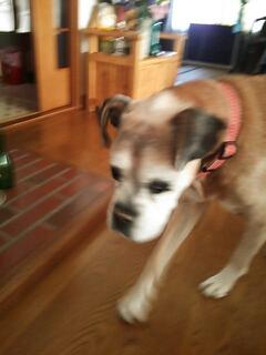 20131028_182910.jpg