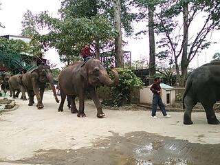 20131110_220252.jpg