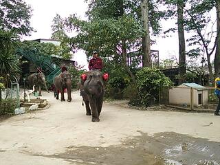 20131110_220240.jpg
