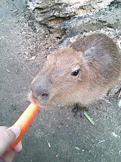 20131110_220140.jpg