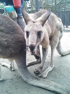 20131110_220107.jpg