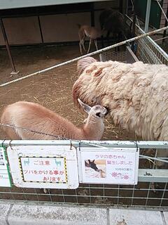 20131110_220029.jpg
