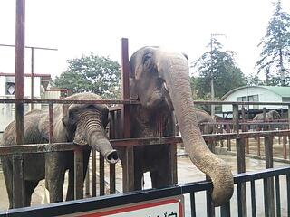 20131110_215952.jpg