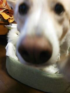 20131111_184205.jpg