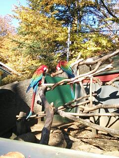20131124_090102.jpg