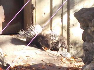 20131124_090031.jpg