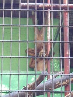 20131124_085846.jpg