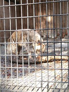 20131124_090015.jpg