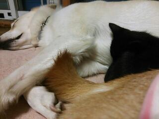 20131202_183224.jpg
