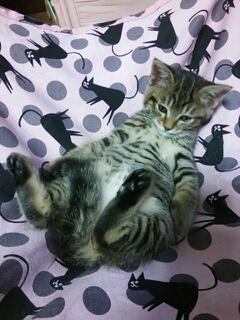 20131202_183021.jpg