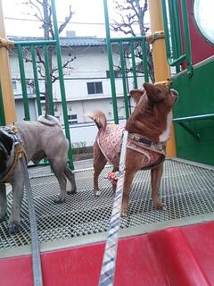 20140121_144420.jpg