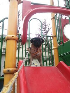 20140121_144355.jpg