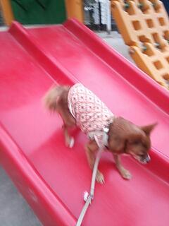 20140121_144336.jpg