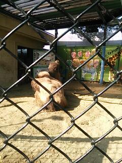 20140203_180453.jpg