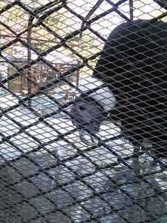 20140203_180417.jpg