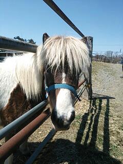 20140421_163948.jpg