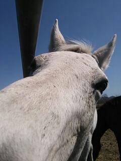20140421_163915.jpg