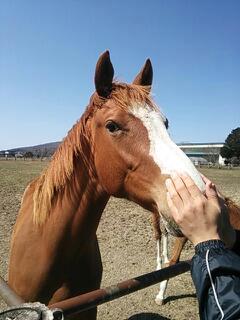 20140421_163934.jpg