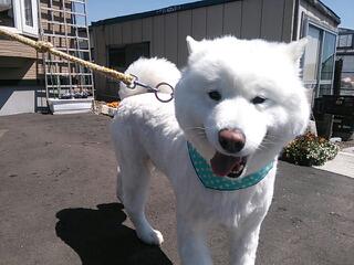 20140421_164010.jpg