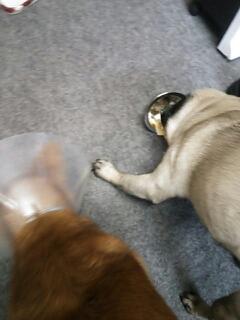 20140521_170352.jpg