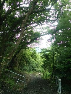20140705_211536.jpg