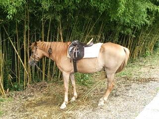 20140705_211731.jpg