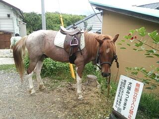 20140705_211710.jpg