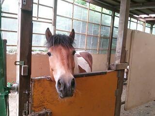 20140705_211525.jpg