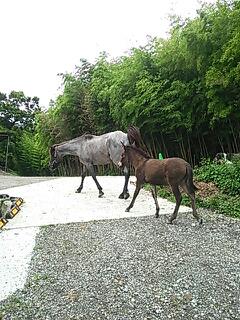 20140705_211506.jpg