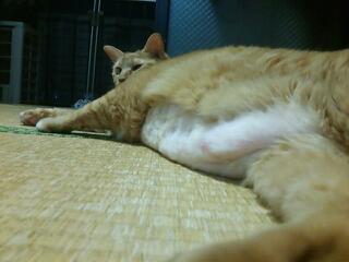 20140715_220712.jpg