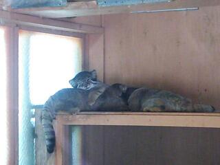 20140804_201006.jpg