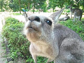 20140804_201106.jpg