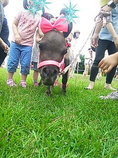 20140817_090455.jpg