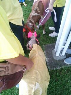 20140817_090113.jpg