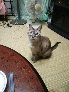 20140901_192417.jpg