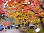 日吉東照宮
