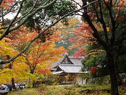 日吉東照宮